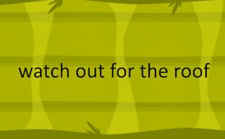 watch out for the roof